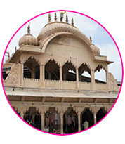 Shri Shyam Prabhu Tour and Travels, Mathura 
